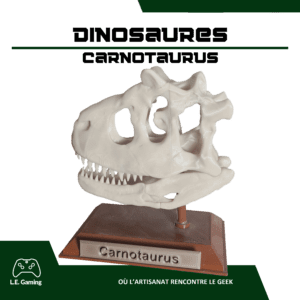 Répliques crânes de dinosaures - Le Carnotaurus