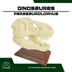 Répliques crânes de dinosaures - Le Tyrannosaure