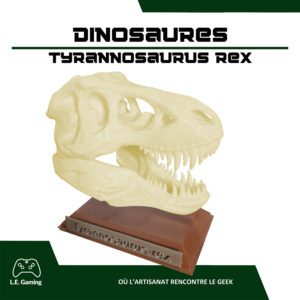 Répliques crânes de dinosaures - Le Tyrannosaure