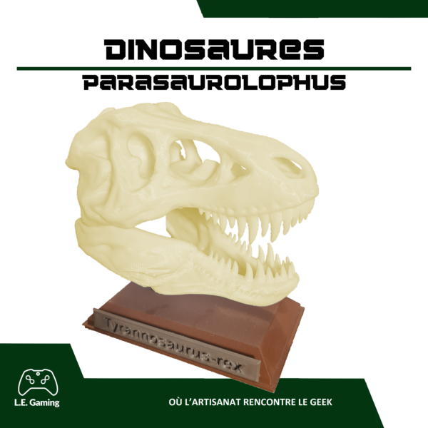 Répliques crânes de dinosaures - Le Tyrannosaure